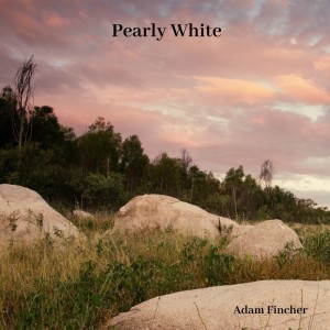 收聽Adam Fincher的Pearly White歌詞歌曲
