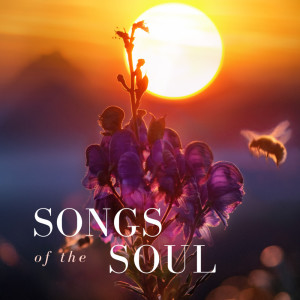 ดาวน์โหลดและฟังเพลง Melancholy พร้อมเนื้อเพลงจาก Wendi Shi