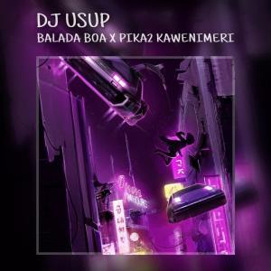 Listen to Dj Balada Boa X Pika Pika Kawenimeri song with lyrics from DJ USUP