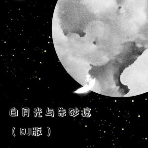 收聽朱朱同學的白月光與硃砂痣(DJ版）歌詞歌曲