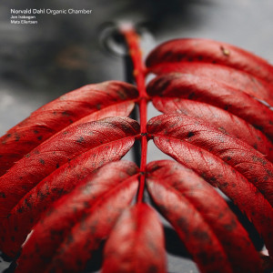 收聽Norvald Dahl Organic Chamber的Breaking Bad歌詞歌曲
