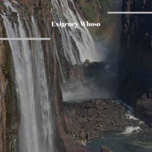 Listen to Exigency Whoso song with lyrics from MLing