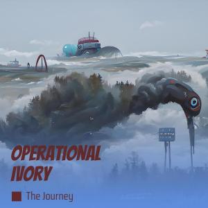 Album Operational Ivory from The Journey
