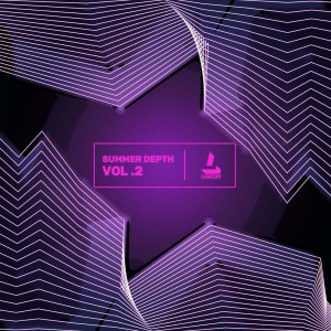 Album Summer Depth ; Vol.2 from Various