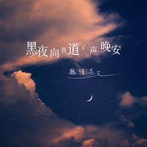收聽魏佳藝的黑夜向我道了聲晚安 (完整版)歌詞歌曲