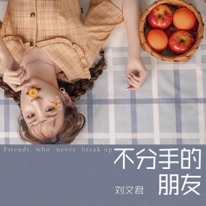 Listen to 不分手的朋友 (伴奏) song with lyrics from 刘文君