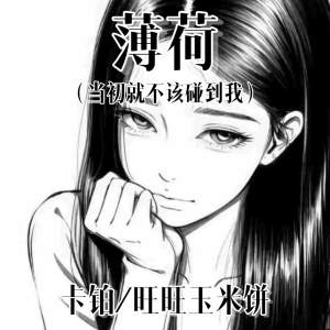 Listen to 薄荷 (当初就不该碰到我) song with lyrics from 卡铂