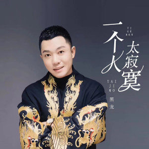 Album 一个人太寂寞 (1.3x加速版) from Hei long (黑龙)