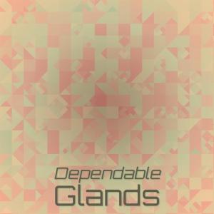 Various的专辑Dependable Glands