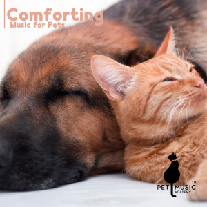 Album Comforting Music for Pets (Sounds for Dogs and Cats with Separation Anxiety) oleh Pet Music Academy