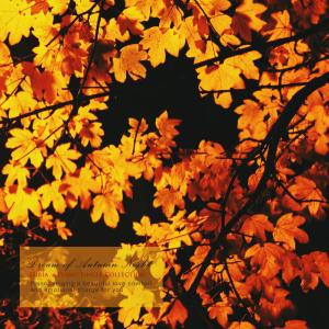 Album Autumn Night's Dream from 