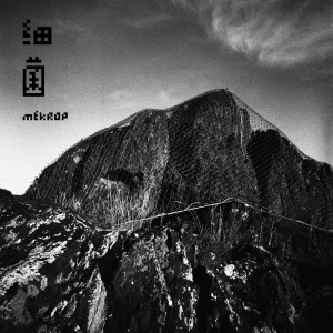 收聽細菌樂隊的青蛙歌詞歌曲