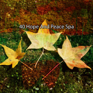 Album 40 Hope And Peace Spa from Brain Study Music Guys