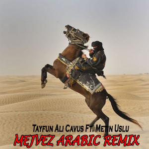 Listen to Mejvez (Arabic Remix) song with lyrics from Tayfun Ali Çavuş
