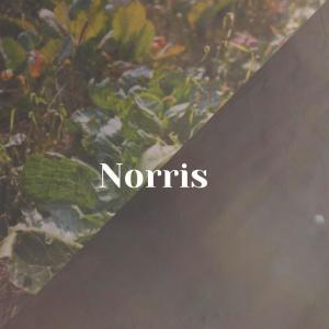 Various Artists的专辑Norris