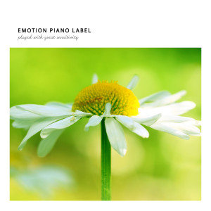 ดาวน์โหลดและฟังเพลง 봄 사랑 Spring Love พร้อมเนื้อเพลงจาก Korean Various Artists