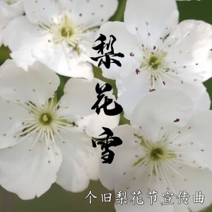 Album 梨花雪（个旧梨花节宣传曲） from 周典奥