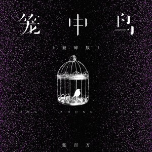 Album 笼中鸟（破碎版） from 张百万