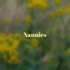 Various的专辑Nannies