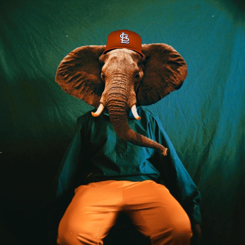 ELEPHANT IN THE ROOM (feat. $TORM2x) (Explicit)