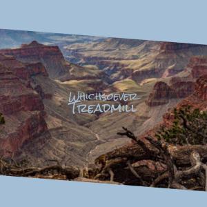 Various Artists的專輯Whichsoever Treadmill