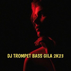 Album Dj Trompet Bass Gila 2k23 from Yoal Mgz