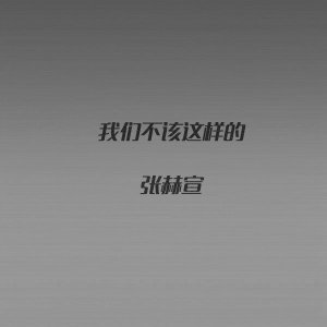 Album 我们不该这样的 (电视剧《北上广不相信眼泪》片尾曲) oleh 张赫宣