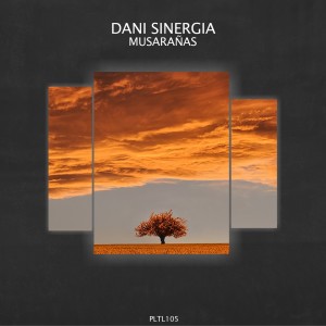 Dani Sinergia的專輯Musarañas