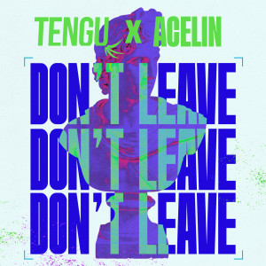 อัลบัม Don't Leave ศิลปิน Tengu