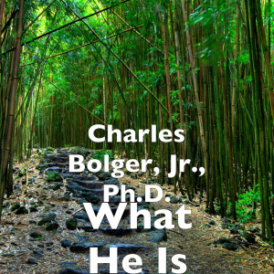 ดาวน์โหลดและฟังเพลง What He Is พร้อมเนื้อเพลงจาก Charles Bolger