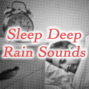 ดาวน์โหลดและฟังเพลง Rain Sleep: Sounds of the Nature พร้อมเนื้อเพลงจาก Rain for Deep Sleep