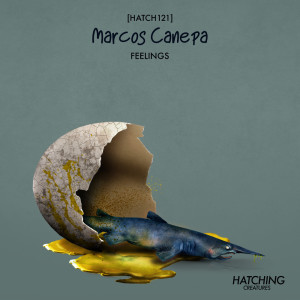 收聽Marcos Canepa的Feelings歌詞歌曲