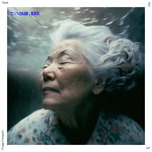 收聽PJUSK的Januar (feat. Andrew Tasselmyer)歌詞歌曲