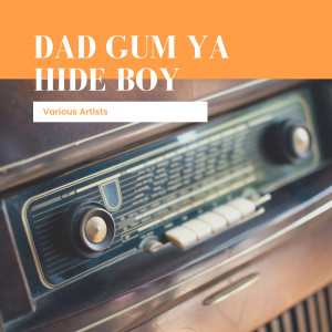 Various Artists的專輯Dad Gum Ya Hide Boy