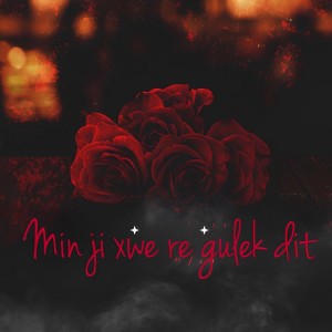 Listen to Min ji xwe re Gulek Dit song with lyrics from Burhan Toprak