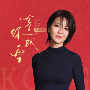 Album 等你成空 from Joi Chua (蔡淳佳)