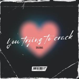 DHARMA的專輯You Trying To Crack (Explicit)