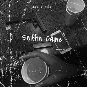 收聽Lil Seb的Sniffin Caine (feat. Cole Dozier) (Explicit)歌詞歌曲
