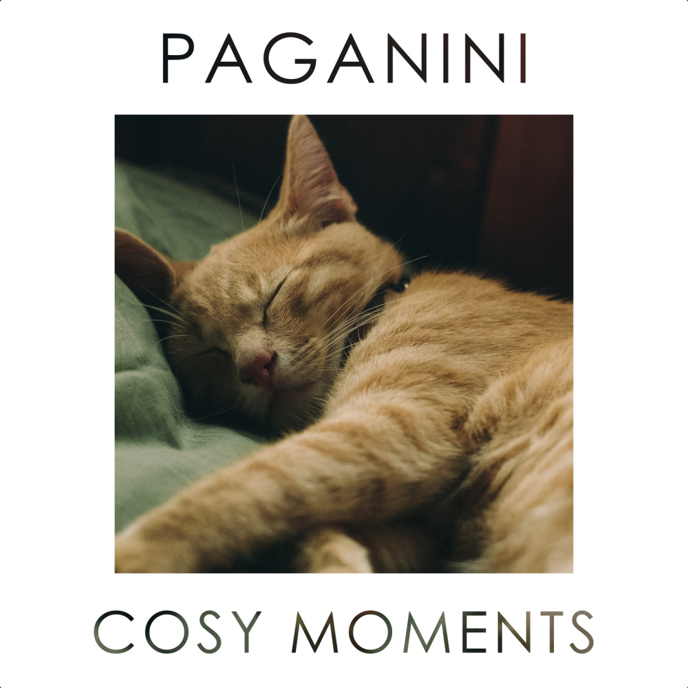 Paganini: 24 Caprices for Violin, Op.1 - No. 16 in G minor