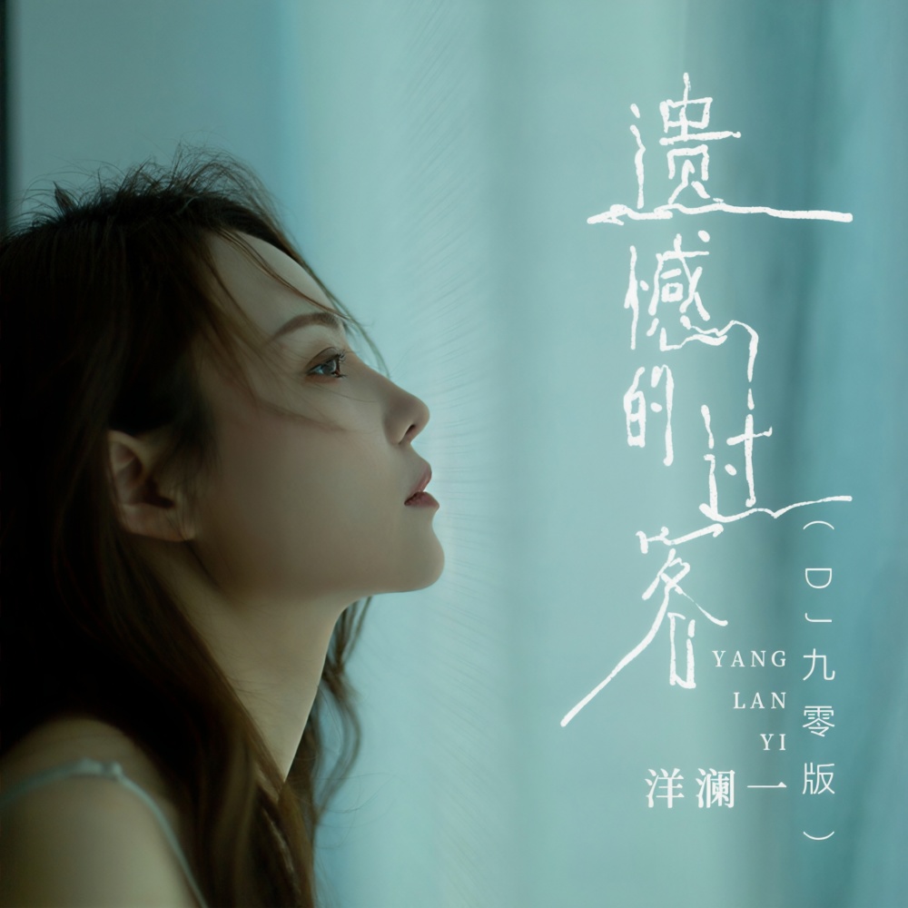 遗憾的过客 (DJ九零版伴奏)