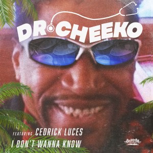 收聽Dr. Cheeko的I Don't Wanna Know (Instrumental)歌詞歌曲