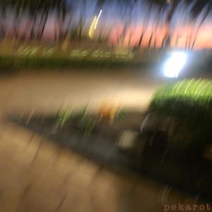 收聽mæsk的toxic medicine (Explicit)歌詞歌曲