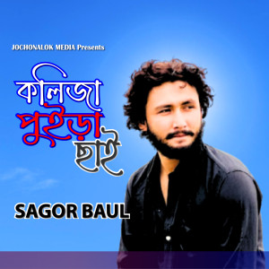 Listen to কলিজা পুইড়া ছাই song with lyrics from Sagor Baul