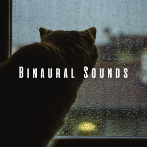 Binaural Sounds: Soothing Rainfall Beats for Cats dari Binaural Astro Lab