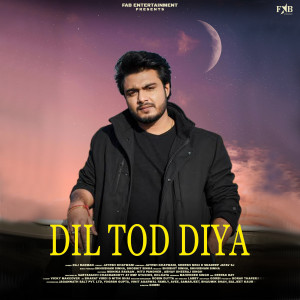 Album Dil Tod Diya from 