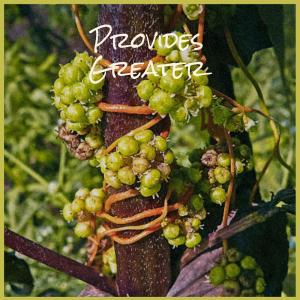 Listen to Seductive song with lyrics from Rence Canor