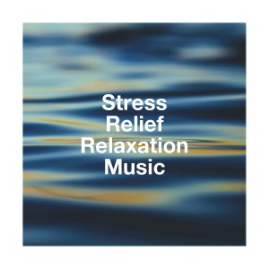 อัลบัม Stress Relief Relaxation Music ศิลปิน Piano Relaxation Music Masters