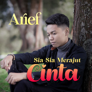 Dengarkan Sia Sia Merajut Cinta lagu dari Arief dengan lirik