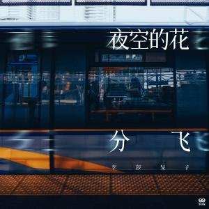 收聽李莎旻子的夜空的花分飛 (伴奏)歌詞歌曲