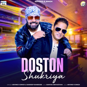 Listen to Doston Shukriya (Instrumental) song with lyrics from Arvind R Singh